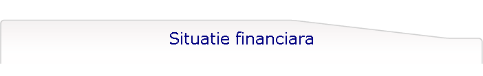 Situatie financiara